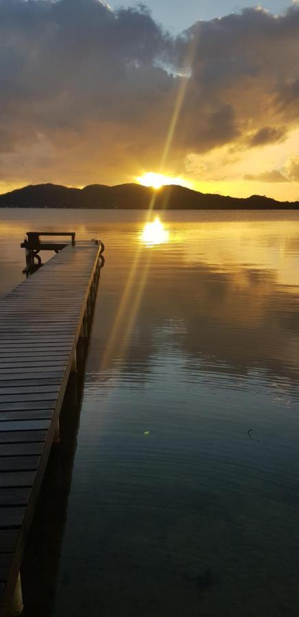 Girassois Da Lagoa - Guesthouse Florianópolis Dış mekan fotoğraf